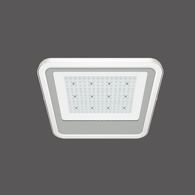 Primo Surface Mounted Canopy Light